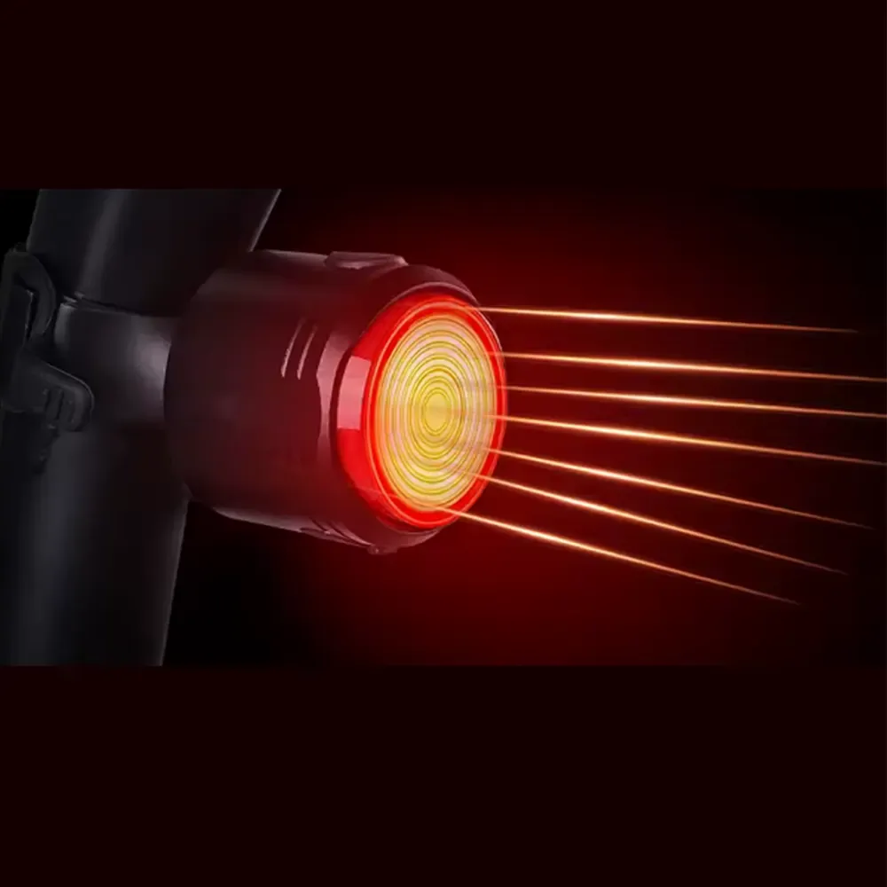 Luces Traseras